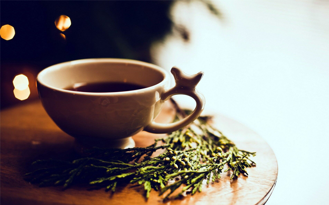茶叶的初级代谢及次级代谢产物——茶多酚